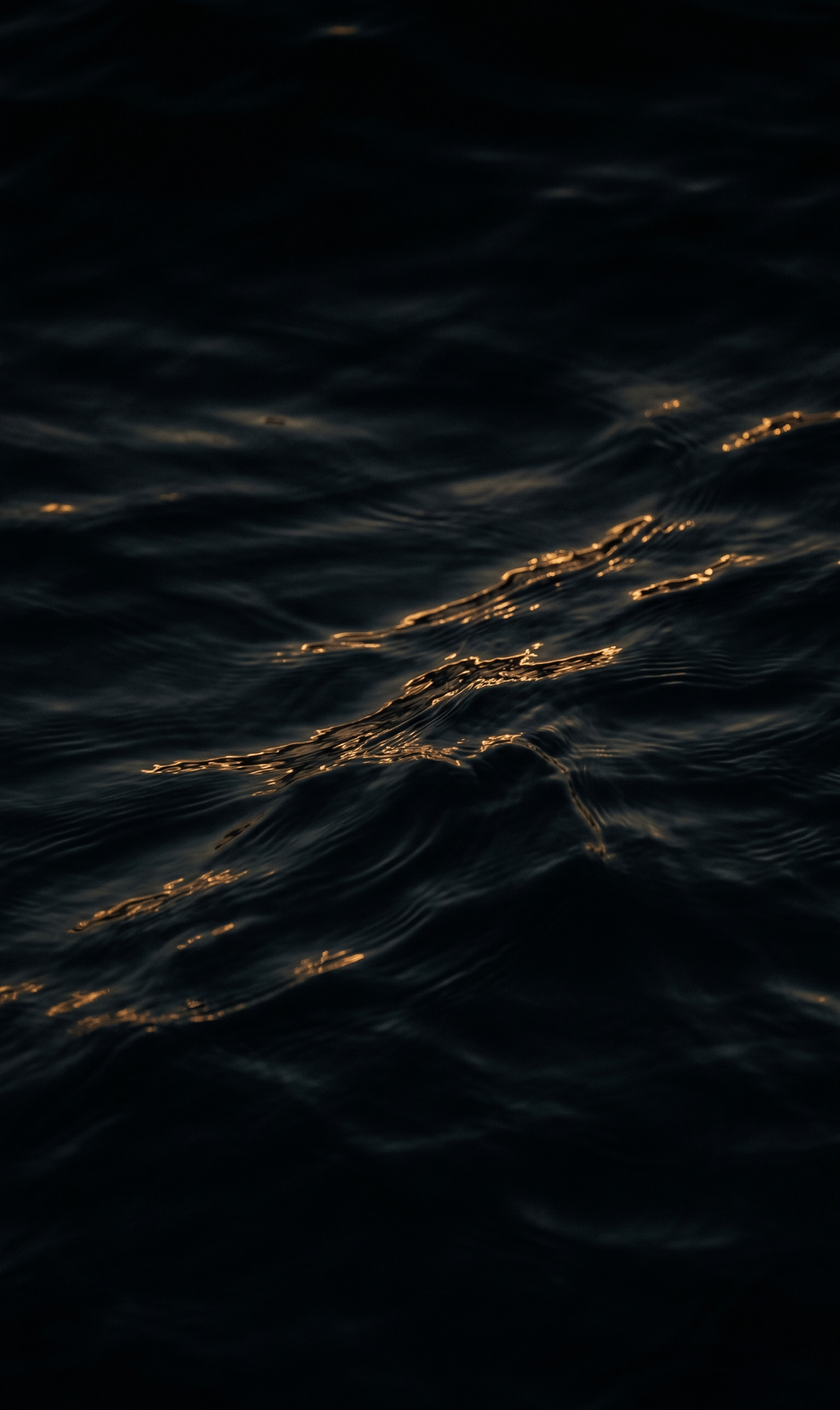 Zenith Source to Sip